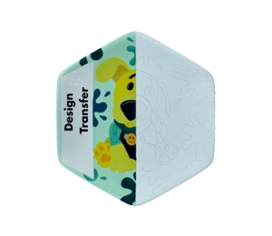 Burr Ridge Design Transfer